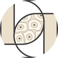 Дерматологический центр доктора Антоновой