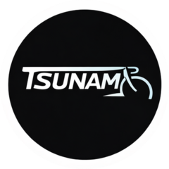 Майшекеева АЕ