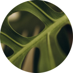 Четверикова Оксана