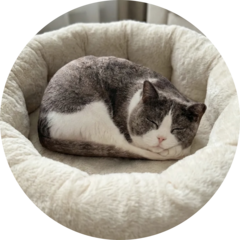 Нечаев Антон Александрович