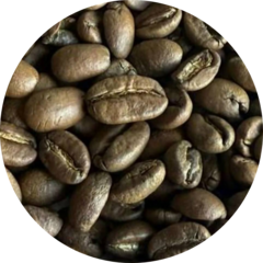 Золотов Александр Александрович