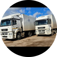 Золотарев Валерий Валерьевич