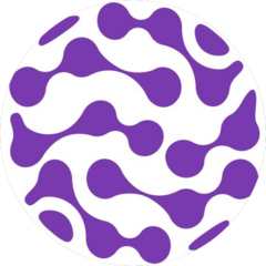 АНО Развитие человеческого капитала