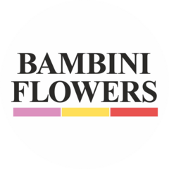Bambini Flowers (ИП Щербакова Зарина Хушкадамовна)