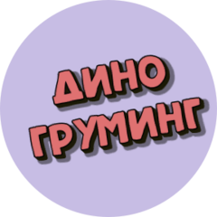 Шаяхметова А.Р