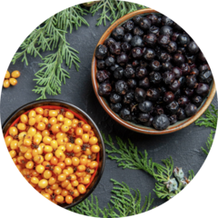 Омаров Адам Курбанович