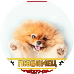 Ветеринарная клиника Любимец