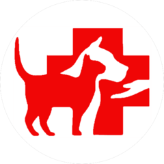 Нестеров Руслан Юрьевич