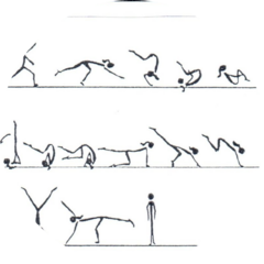 Спортивный клуб Кувырок