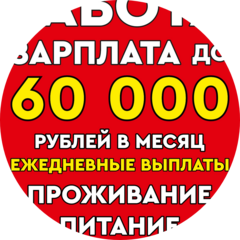 Шипицын Артём