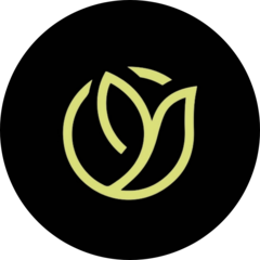 Кудрявцева Жанна Викторовна