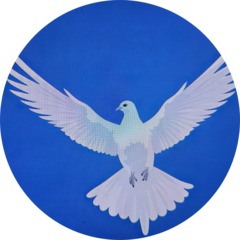 Финансовые решения для юридических лиц