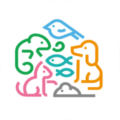 Фалкон Пет, OOO