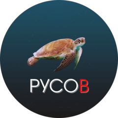 Школа плавания Руслана Русова