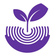 Детский центр Развитие