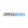 ТОО Open Brain