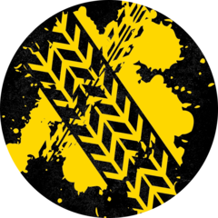 Адиев Роберт Фликсович