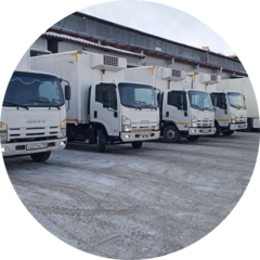 Михайлов Алексей Павлович