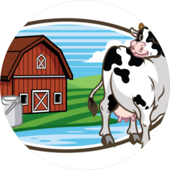 Зазеркалье