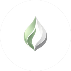 Витабрид Рус