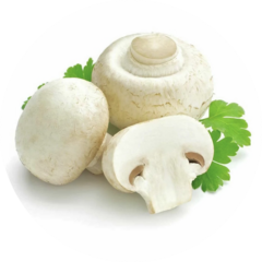 Терсенова Дарья Якимовна