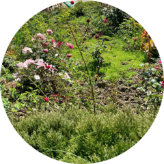 Норильская Комплексная Магнитно-Ионосферная Станция - Филиал ФГБУ Науки Ордена Трудового Красного Знамени Института Солнечно-Земной Физики Сибирского Отделения Российской Академии Наук