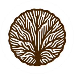 ОАНО ОЦ Ступени