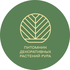 Рура Олег Олегович