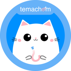 Матюшев Артём Дмитриевич