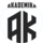 ВФШ Академика