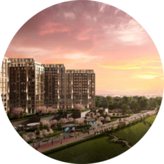 Дармилов Тимур Закерьяевич