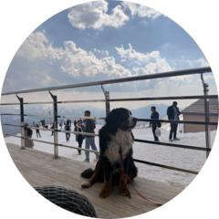 Ахматов Журабек