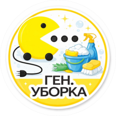 Салимов Тимур Радикович