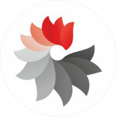 Модестова Светлана Геннадьевна