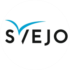 Быков Владимир Сергеевич