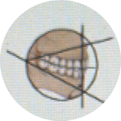 Институт гнатологии