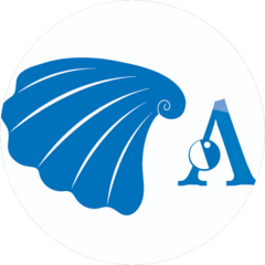 Аквадизайн