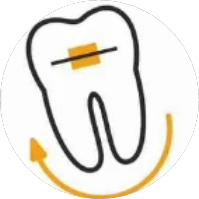 Экспертная Ортодонтия