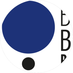 Шульгина Ольга Александровна