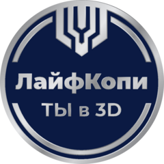 ЛайфКопии Ты в 3D