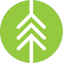 Кедр Солюшенс