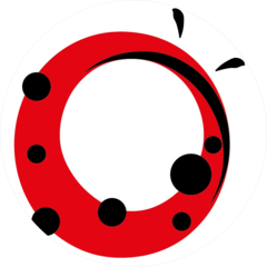 ТВИМ, Веб-студия