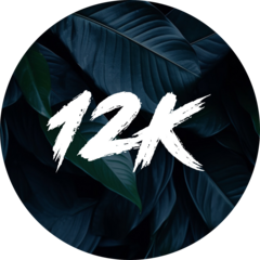 Сеть магазинов 12K SHOP