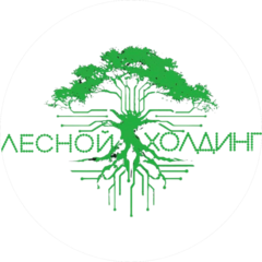 Лесной Холдинг