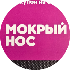 Тимофеева Светлана