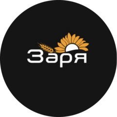 ЗАРЯ