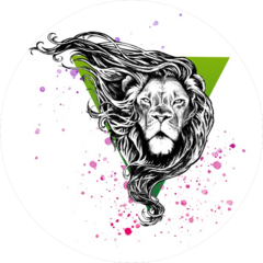 Михайлов Роман Александрович