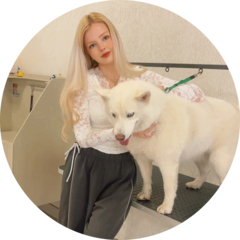 Pantera груминг