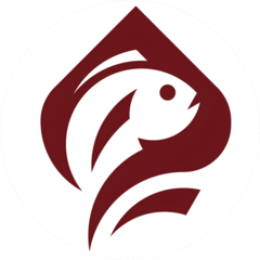 ЧЕК-ЧЕК КЛУБ