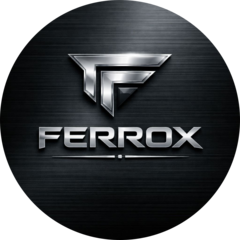 VSHIVKOVA RENATA RAFAELEVNA